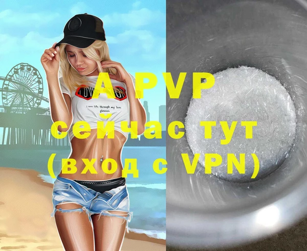 тгк Магас